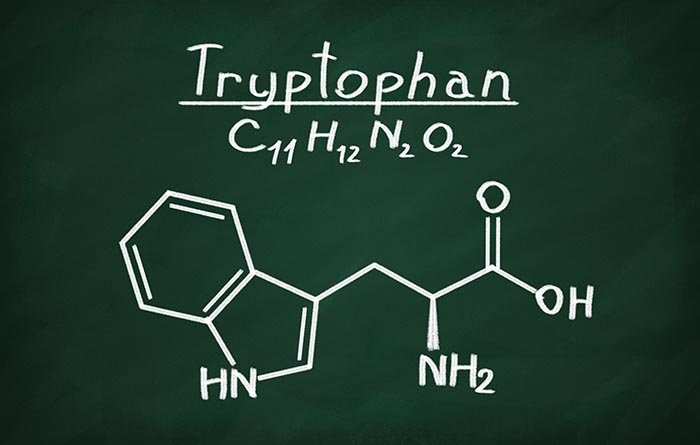 El triptófano y serotonina:  paladines del bienestar